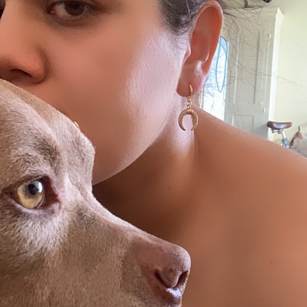 Dainty  New Moon Drop Earrings Huggie - Picture 7 of 7